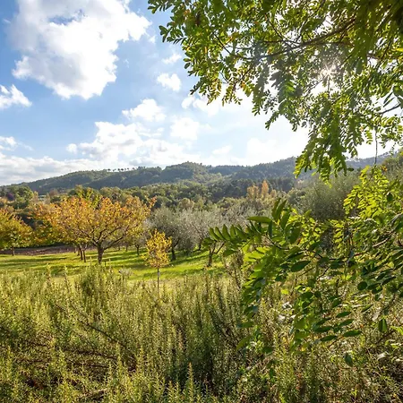 Il Colle Holiday home La Torre (Arezzo)